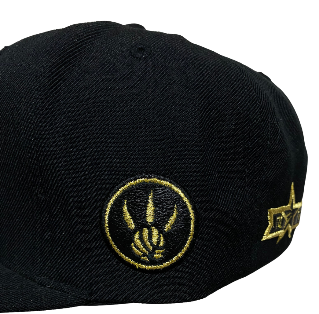 NBA All Star Black Gold Toronto Raptors Basketball Mitchell Ness 2016 Cap