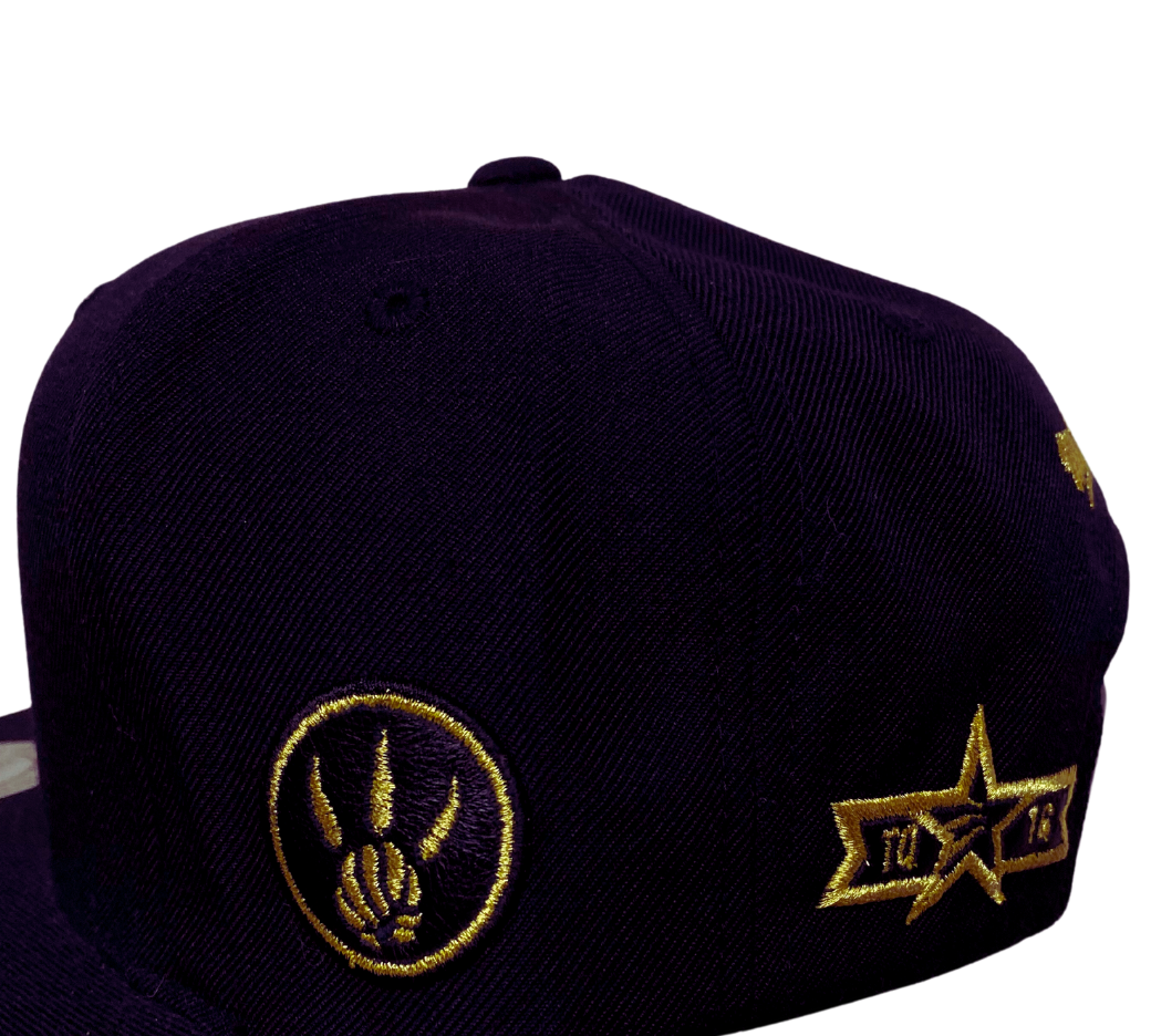 NBA All Star Black Gold Toronto Raptors Basketball Mitchell Ness 2016 Cap