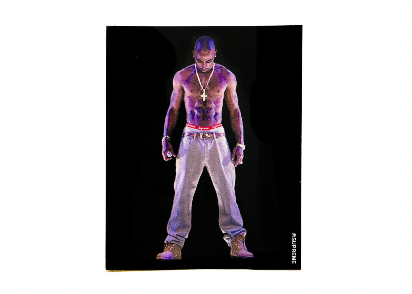 Supreme Tupac Hologram Sticker SS20