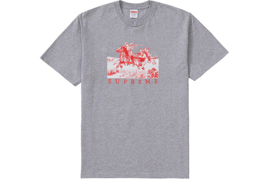 Supreme Riders Tee Heather Grey