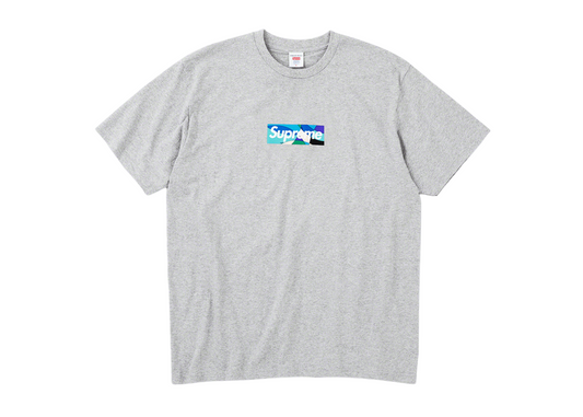 Supreme Emilio Pucci Box Logo Tee Heather Grey/Blue